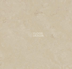 Кварцвиниловые полы Marmoleum Modular t3711 cloudy sand фото 1 | FLOORDEALER